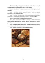 Реферат 'Kviešu maize ar kukurūzas putraimiem', 5.