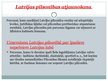 Презентация 'Latvijas pilsonība', 6.