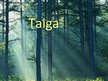 Презентация 'Taiga', 1.