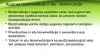 Презентация 'Mikroorganismi inženiertehniskajos risinājumos', 9.