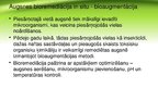 Презентация 'Mikroorganismi inženiertehniskajos risinājumos', 12.