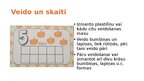 Презентация 'Skaitļa 5 apguve', 24.
