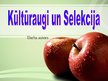 Презентация 'Kultūraugi un selekcija', 1.
