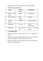 Конспект 'Ģimenes tiesības: laulība, šķiršana pie notāra un tiesā, likumiska un ligimiska ', 18.