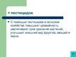 Презентация 'Экологически чистые продукты в Латвии. Презентация', 4.
