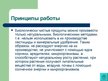 Презентация 'Экологически чистые продукты в Латвии. Презентация', 14.