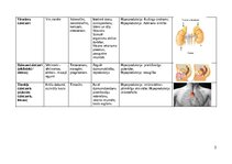 Конспект 'Endokrīnās sistēmas dziedzeri', 3.