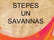 Презентация 'Stepes un savannas', 1.