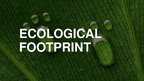 Презентация 'Ecological Footprint', 1.