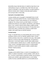 Эссе 'Juridiskā atbildība: veidi, funkcijas un attīstības perspektīvas tiesību sistēmā', 7.