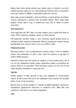 Конспект 'Investīcijas', 5.
