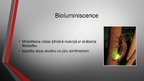Презентация 'Luminiscence', 3.