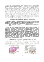 Реферат 'Mikroorganismu daudzveidība dažādās augu mizās', 8.