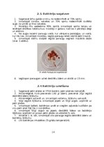 Реферат 'Mikroorganismu daudzveidība dažādās augu mizās', 11.