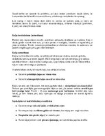 Реферат 'Kaķi - veterinārā rokasgrāmata dzīvnieku īpašniekiem', 5.