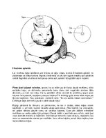 Реферат 'Kaķi - veterinārā rokasgrāmata dzīvnieku īpašniekiem', 9.