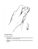 Реферат 'Kaķi - veterinārā rokasgrāmata dzīvnieku īpašniekiem', 16.