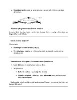 Реферат 'Kaķi - veterinārā rokasgrāmata dzīvnieku īpašniekiem', 22.