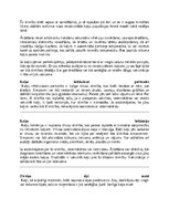 Реферат 'Kaķi - veterinārā rokasgrāmata dzīvnieku īpašniekiem', 33.