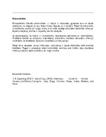 Реферат 'Kaķi - veterinārā rokasgrāmata dzīvnieku īpašniekiem', 41.