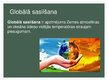 Презентация 'Skābais lietus, smogs un globālā sasilšana', 12.