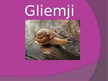Презентация 'Gliemji', 1.