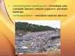 Презентация 'Ekoloģijas pamatprincipi un ekoloģiskie faktori', 17.