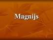 Презентация 'Magnijs', 1.