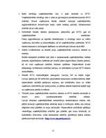 Реферат 'Uzņēmējdarbības vide Valmierā, tās raksturojums un pasākumi vides uzlabošanā', 11.