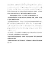 Дипломная 'Sporta preču vairumtirdzniecības uzņēmuma "Aqua Pro" vadīšanas analīze', 48.