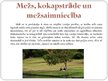 Презентация 'Mežizstrāde Latvijā', 4.