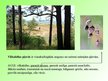 Презентация 'Pļavu ekosistēma', 11.