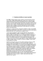 Отчёт по практике 'Eksāmena darbs - prakse uzņēmumā', 3.