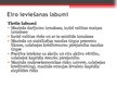 Презентация 'Māstrihtas kritēriji un to izpilde Latvijā', 4.