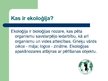 Презентация 'Ekoloģija', 2.