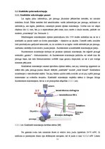 Реферат 'Alvas dioksīda SnO2 sintēze un spektromikroskopijas pētījumi', 11.