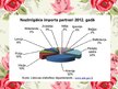 Презентация 'Lietuvas tirdzniecība ar citām valstīm', 6.