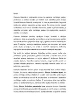 Конспект 'Dzimumu līdztiesība Eiropas Savienības tiesību sistēmā: teorija, prakse un nākot', 1.