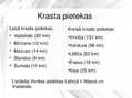 Презентация 'Latvijas upe Venta', 7.