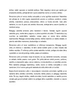 Эссе 'Tematiskais plāns pirmsskolai visam gadam: gada aktivitātes, sadarbība un bērnu ', 5.