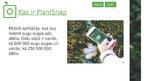 Презентация 'Mobilā aplikācija "PlantSnap"', 3.