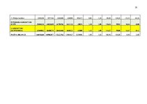 Отчёт по практике 'Finanšu rādītāju analīze 2019.-2021.gads', 29.