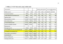 Отчёт по практике 'Finanšu rādītāju analīze 2019.-2021.gads', 32.