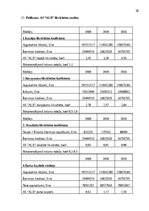 Отчёт по практике 'Finanšu rādītāju analīze 2019.-2021.gads', 38.