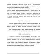 Отчёт по практике 'Prakse elektromontāžas firmā SIA "Elektriķis"', 20.
