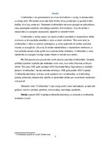 Реферат 'Cilvēktiesības', 3.