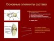 Изображение - Презентация суставы человека sustavy-0006