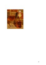 Реферат 'AS "Aldaris" produkta "Zelta" alus markas vērtība, tēls un individualitāte', 18.