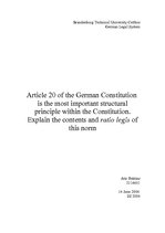 Реферат 'Article 20 of the German Constitution is the most Important Structural Principle', 1.