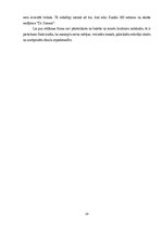 Реферат 'RIMI mārketinga komunikācija', 10.